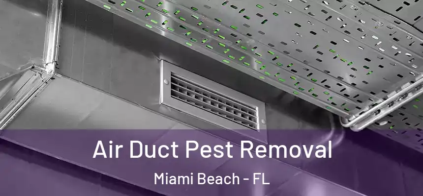 Air Duct Pest Removal Miami Beach - FL