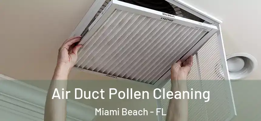 Air Duct Pollen Cleaning Miami Beach - FL