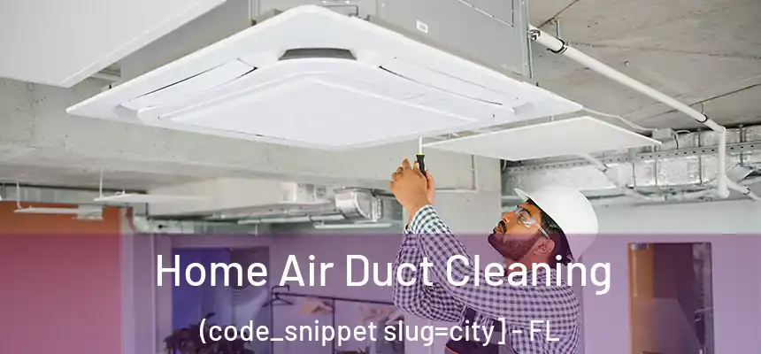  Home Air Duct Cleaning (code_snippet slug=city] - FL