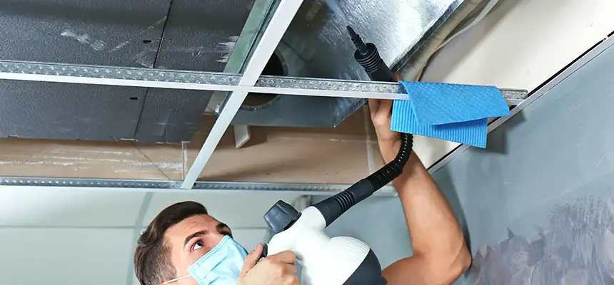 Our Air Duct Rodent Removal Services in Miami Beach, FL
