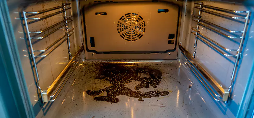 Our Dryer Vent Mold Cleaning Services in Miami Beach, FL