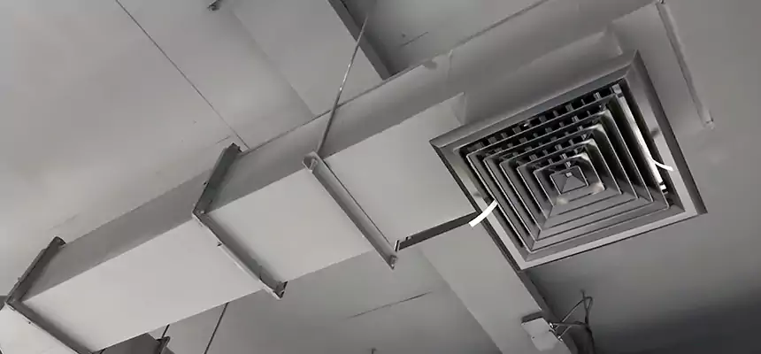 Our Rodent Droppings In Vents Services in Miami Beach, FL