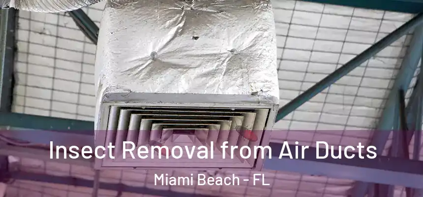 Insect Removal from Air Ducts Miami Beach - FL