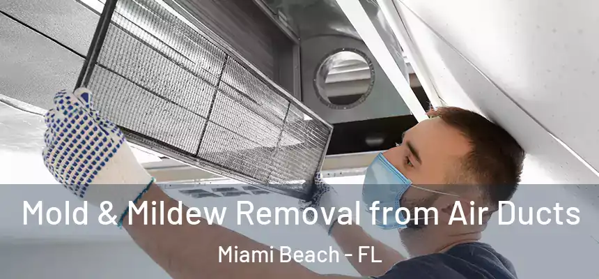 Mold & Mildew Removal from Air Ducts Miami Beach - FL