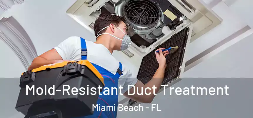  Mold-Resistant Duct Treatment Miami Beach - FL