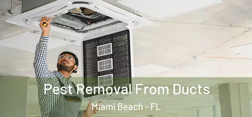 Pest Removal From Ducts Miami Beach - FL