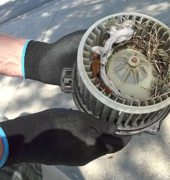 About Air Duct Mice Removal in Miami Beach, FL