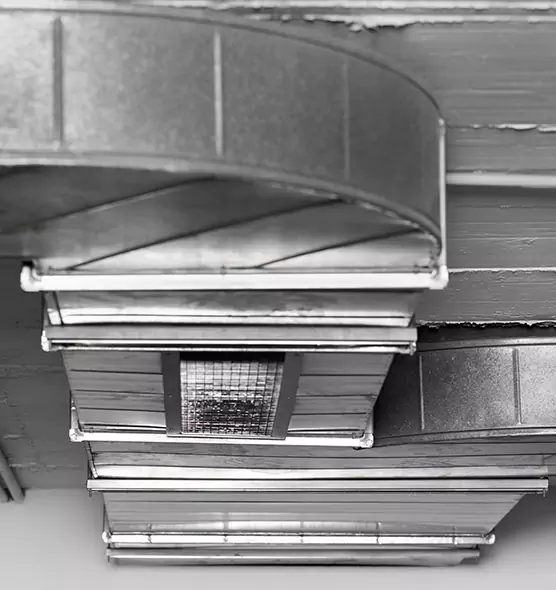 Professional Air Duct Pest Removal in Miami Beach, FL