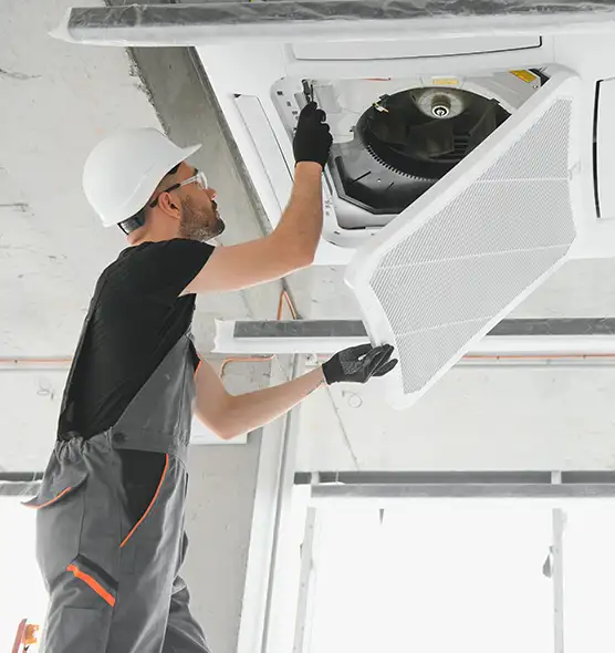 About Air Duct Rodent Removal in Miami Beach, FL