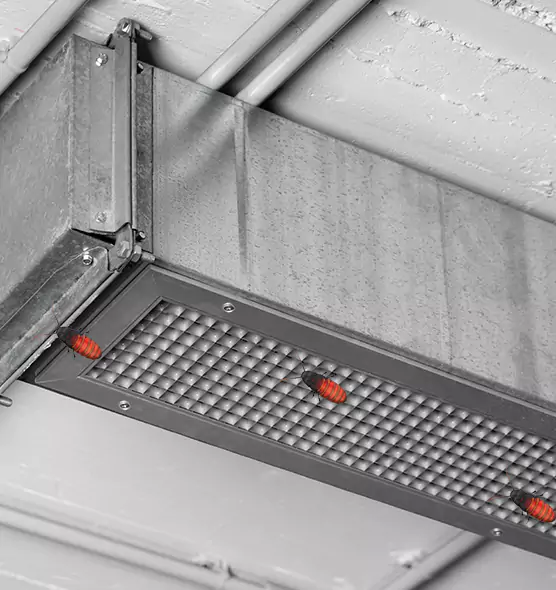 Affordable Insect Removal from Air Ducts in Miami Beach, FL