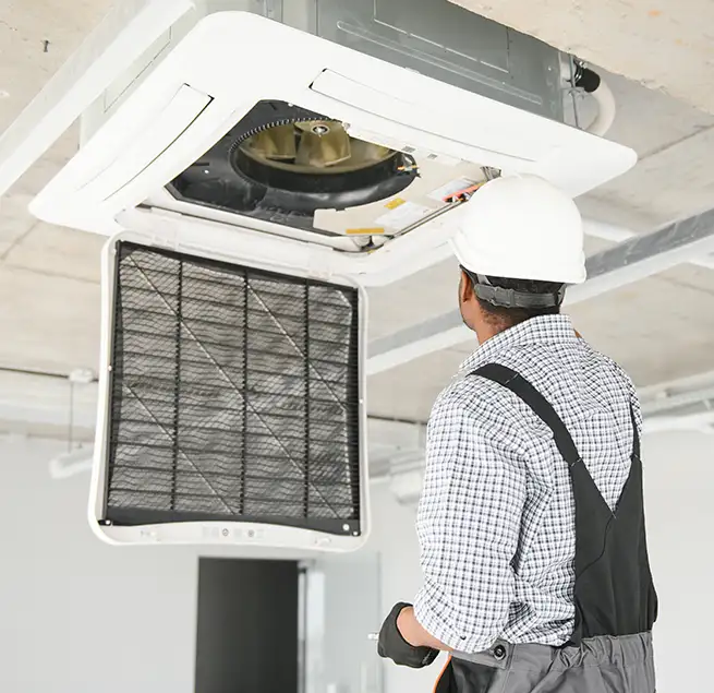 Why Homeowners & Businesses Trust Us in Miami Beach, FL?