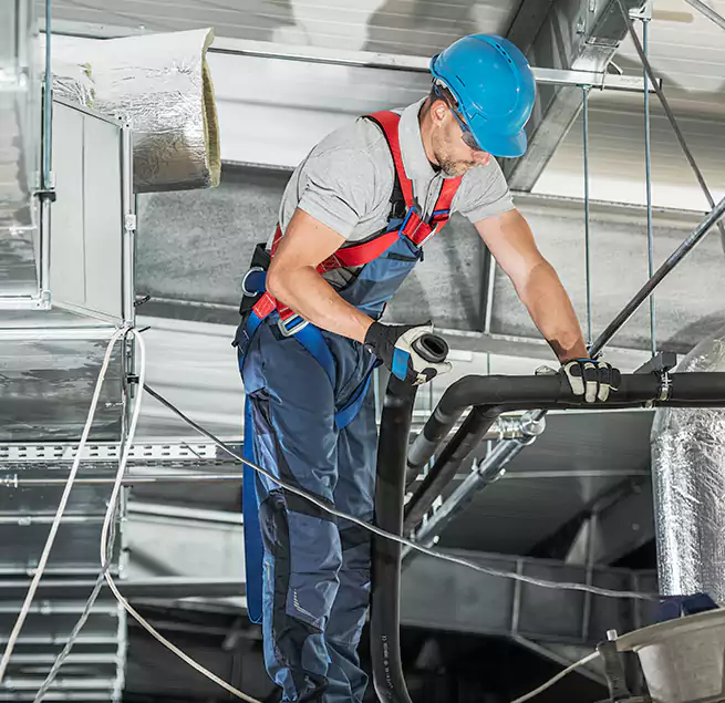 Why Homeowners & Businesses Trust Us in Miami Beach, FL?