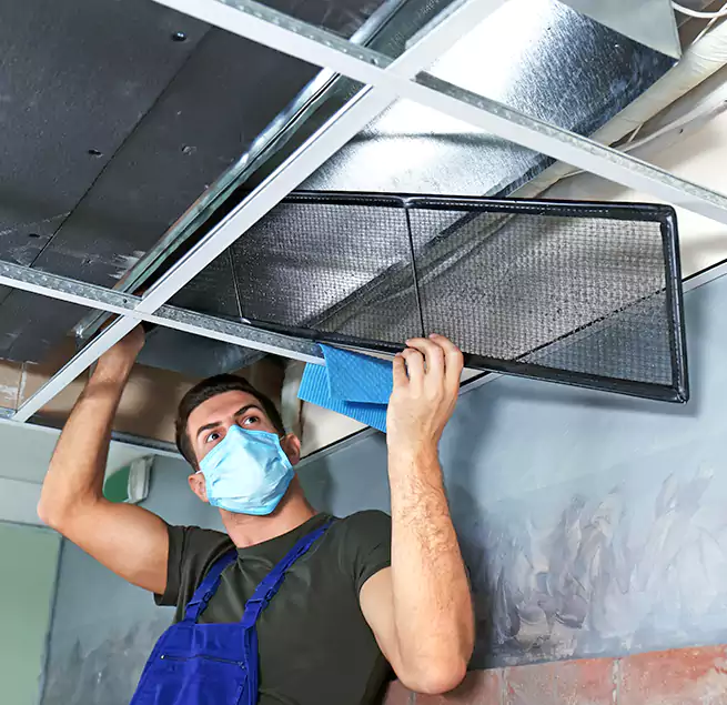 Why Homeowners Businesses Trust Us in Miami Beach, FL