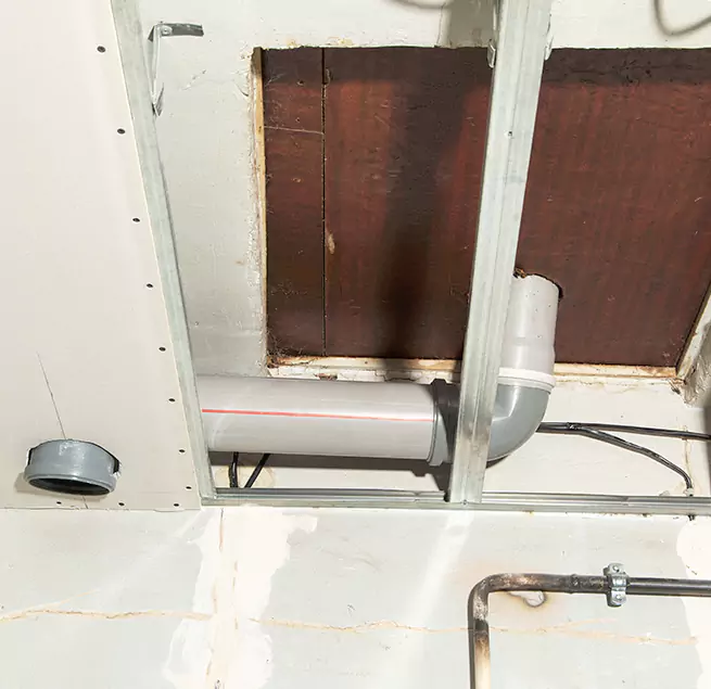 Why Homeowners & Businesses Trust Us in Miami Beach, FL?