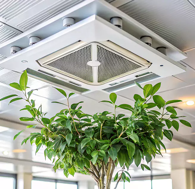 Why Homeowners & Businesses Trust Us in Miami Beach, FL