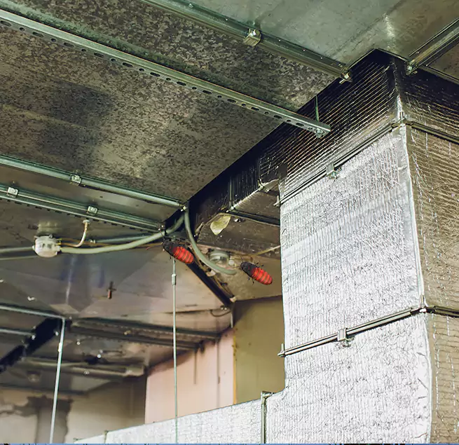 Why Homeowners & Businesses Trust Us Miami Beach, FL?