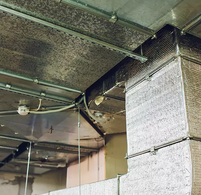 Why Homeowners & Businesses Trust Us in Miami Beach, FL?