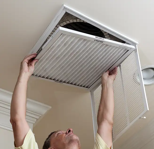 Why Homeowners & Businesses Trust Us in Miami Beach, FL?