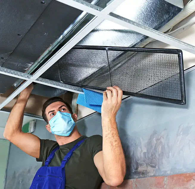 Why Homeowners & Businesses Trust Us in Miami Beach, FL?