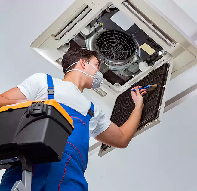 Why Homeowners & Businesses Trust Us in Miami Beach, FL?